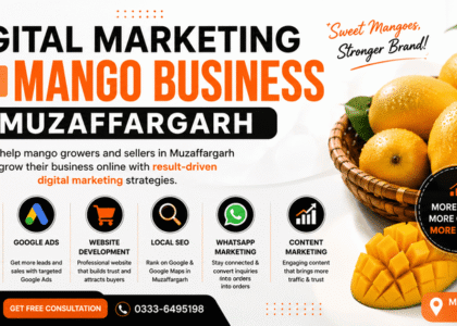 Digital Marketing for Mango Business in Muzaffargarh